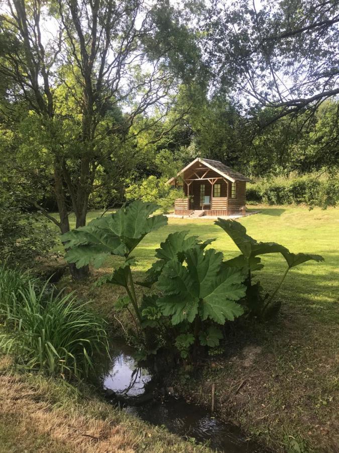 La Paix, Gite Bucolique En Normandie Conde-sur-Noireau Luaran gambar